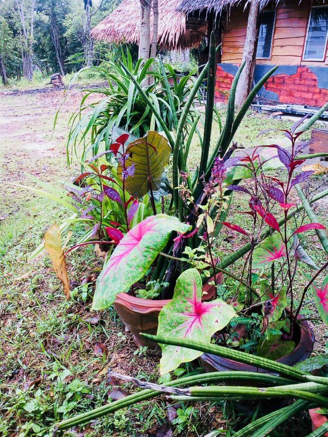 קו לנטה Baan Jing Jai Homestay Resort Lanta מראה חיצוני תמונה
