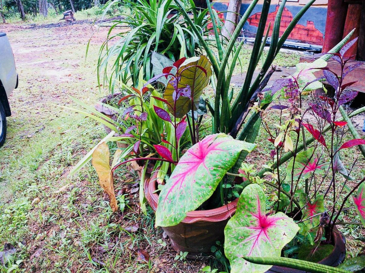 קו לנטה Baan Jing Jai Homestay Resort Lanta מראה חיצוני תמונה